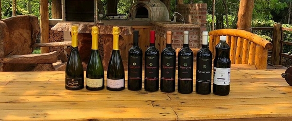 Os vinhos e sucos produzidos pela Vinícola Casa Seganfredo.
