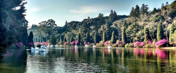 O Lago Negro e seu romantismo.