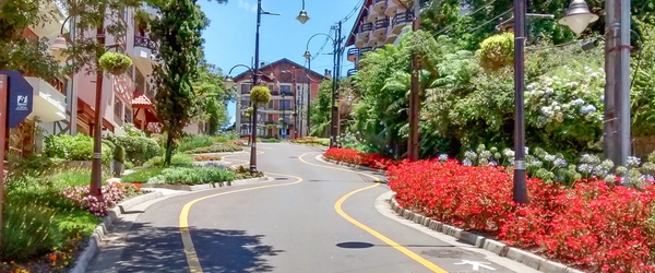 A Rua Torta fica a poucos passos do Wish Serrano, um dos mais sensacionais resorts em Gramado perto de atrações turísticas. A Rua Torta fica a poucos passos do Wish Serrano, um dos mais sensacionais resorts em Gramado perto de atrações turísticas.