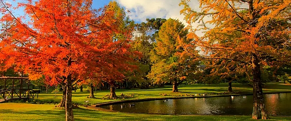 Gramado além do inverno: cidade é fascinante em qualquer estação do ano.