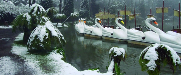 O Que Fazer Durante a Temporada de Neve