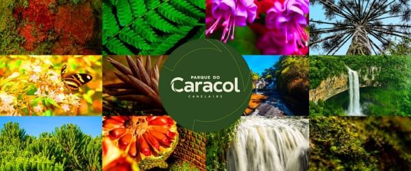 O Que Você Precisa Saber Para Sua Viagem a Canela