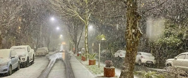 Por Que Esta Neve é Especial